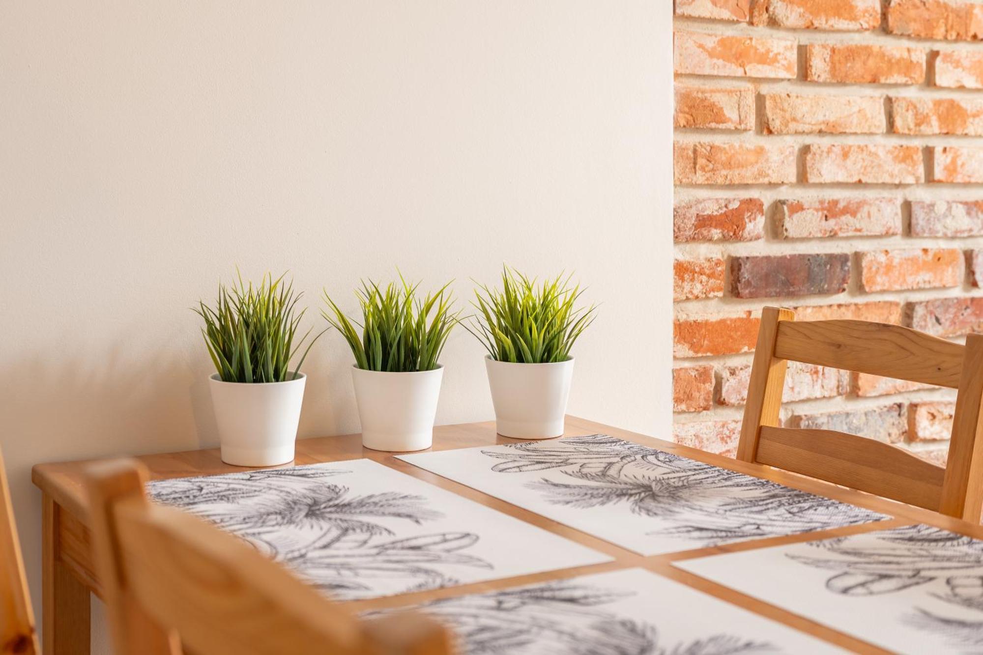 Klimatyzowane Apartamenty Stary Torun By Rentoom Esterno foto